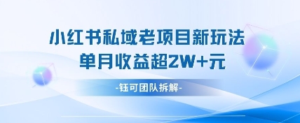 小红书私域项目新玩法，单月变现过W+-大兵轻创资源库