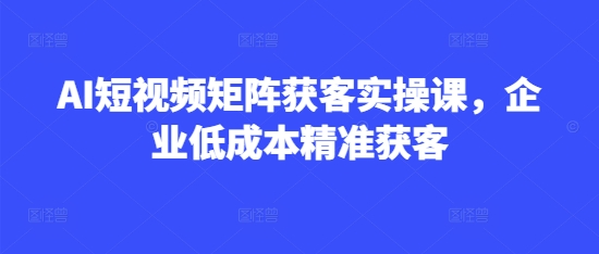 AI短视频矩阵获客实操课，企业低成本精准获客-大兵轻创资源库