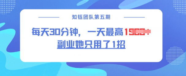副业她只用了1招，每天30分钟，无脑二创，一天最高1.5k-大兵轻创资源库