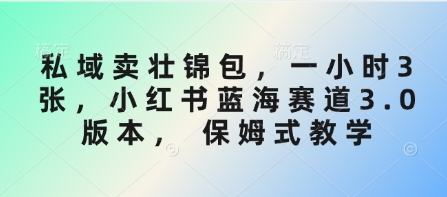 私域卖壮锦包，一小时3张，小红书蓝海赛道3.0版本， 保姆式教学-大兵轻创资源库