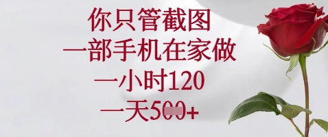 你只管截图，一部手机在家做，苹果安卓都可以，一小时120，一天5张+【揭秘】-大兵轻创资源库