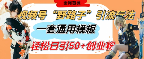 视频号“野路子”玩法，评论区疯狂截流，一套模板单日单号引流50+创业粉-大兵轻创资源库