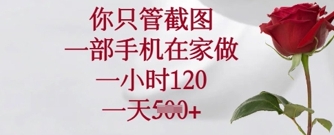 你只管截图，一部手机在家做，一小时120.一天5张【揭秘】-大兵轻创资源库