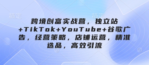 跨境创富实战营，独立站+TikTok+YouTube+谷歌广告，经营策略，店铺运营，精准选品，高效引流-大兵轻创资源库