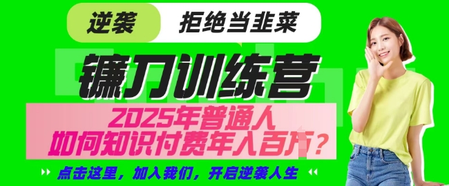 【网创项目终点站-镰刀训练营超级IP合伙人】25年普通人如何通过知识付费实现逆袭【揭秘】-大兵轻创资源库