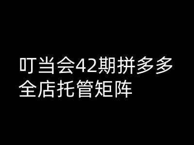 叮当会拼多多打爆班原创高阶技术第42期，拼多多全店托管矩阵-大兵轻创资源库