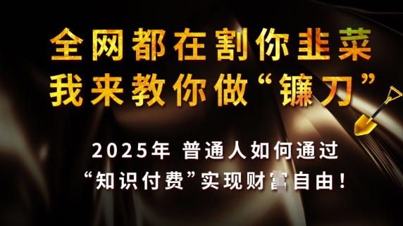 全网都在割你韭菜，我来教你做镰刀，2025普通人如何通过知识付费，实现财F自由【揭秘】-大兵轻创资源库