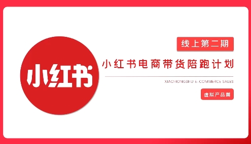 2025小红书虚拟电商实战课，从0到1打造无货源店铺，AI+爆款笔记轻松变现-大兵轻创资源库