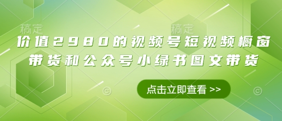 价值2980的视频号短视频橱窗带货和公众号小绿书图文带货-大兵轻创资源库