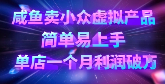 咸鱼卖小众虚拟产品，简单易上手，单店一个月利润破W-大兵轻创资源库
