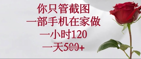 你只管截图，一部手机在家操作，一小时120.一天5张【揭秘】-大兵轻创资源库