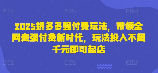 2025拼多多强付费玩法，带领全网走强付费新时代，玩法投入不超千元即可起店-大兵轻创资源库