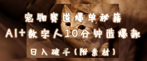 宠物赛道爆单秘籍：AI+数字人10分钟造爆款，日入1k-大兵轻创资源库