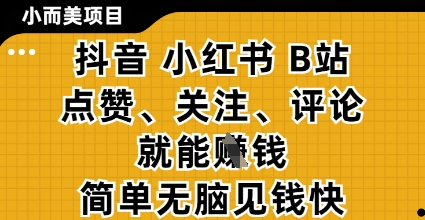 小而美的项目，抖音小红书B站视频点赞、关注、评论就能挣钱，简单无脑立见收益，妥妥的零撸项目【揭秘】-大兵轻创资源库