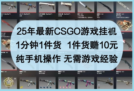 25年最新CSGO游戏挂G，1分钟1件货，1件货挣10元，纯手机操作，无需游戏经验【揭秘】-大兵轻创资源库