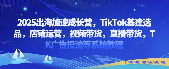 2025出海加速成长营，TikTok基建选品，店铺运营，视频带货，直播带货，TK广告投流等系统教程-大兵轻创资源库