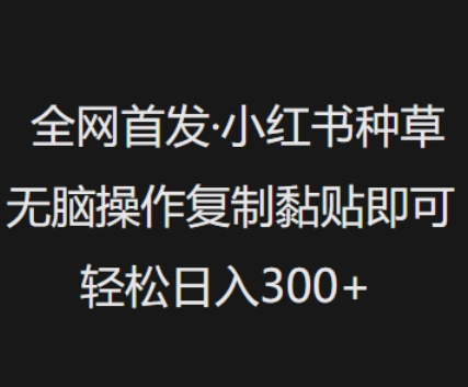 全网首发，小红书种草无脑操作，复制黏贴即可，轻松日入3张-大兵轻创资源库