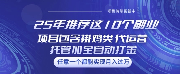 25年推荐这10个副业项目包含褂鸡类、代运营托管类、全自动打金类【揭秘】-大兵轻创资源库