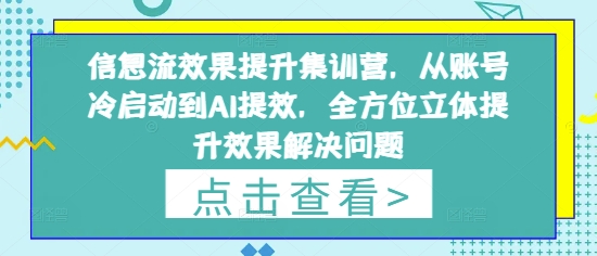 信息流效果提升集训营，从账号冷启动到AI提效，全方位立体提升效果解决问题-大兵轻创资源库