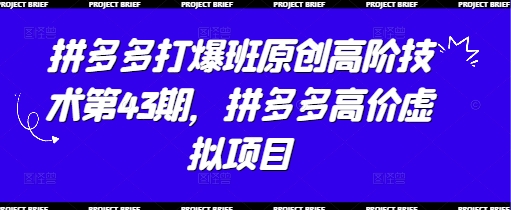 拼多多打爆班原创高阶技术第43期，拼多多高价虚拟项目-大兵轻创资源库