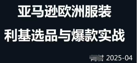 跨境电商选品案例24-25年，聚焦跨境电商选品策略与运营优化，助力卖家挖掘蓝海市场-大兵轻创资源库