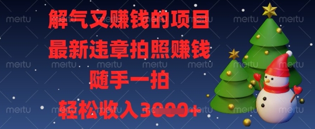 解气又挣钱的项目，最新违章拍照挣钱，随手一拍，轻松收入数张【揭秘】-大兵轻创资源库