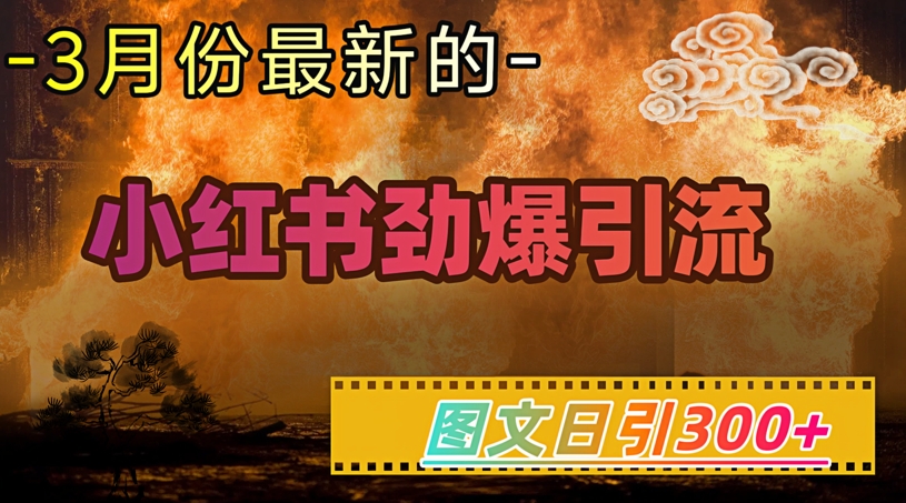 小红书超劲爆引流手段，图文日引300+轻松变现1W-大兵轻创资源库