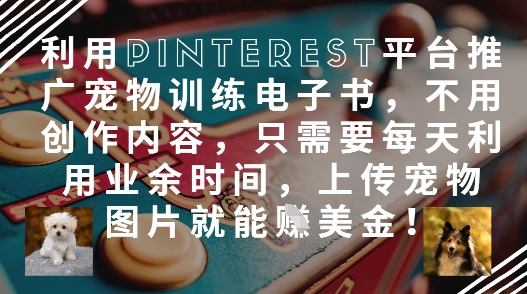 利用Pinterest平台推广宠物训练电子书，不用创作内容，只需要每天利用业余时间，上传宠物图片就能挣美金!-大兵轻创资源库