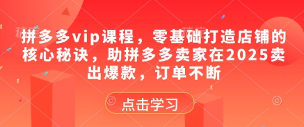 拼多多vip课程，零基础打造店铺的核心秘诀，助拼多多卖家在2025卖出爆款，订单不断-大兵轻创资源库
