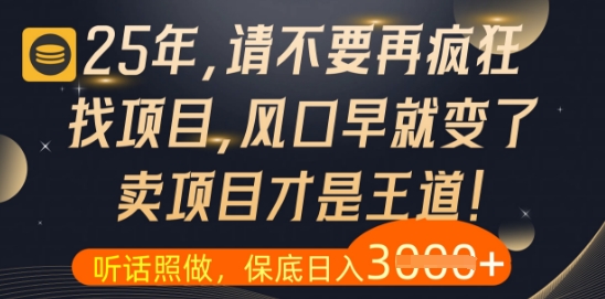什么？25年你还在疯狂找项目做，醒醒吧，看完这些你全都懂了【揭秘】-大兵轻创资源库