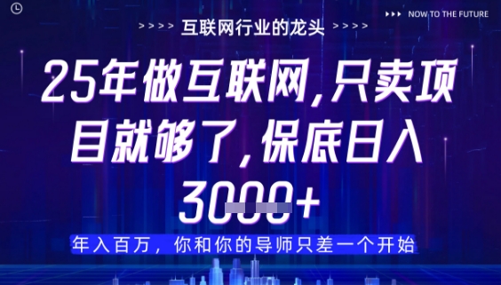 什么！25年你还在找项目做？风口早就变了，卖项目才是稳挣不赔【揭秘】-大兵轻创资源库