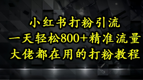 小红书打粉引流，一天轻松500+精准流量，大佬都在用的打粉教程-大兵轻创资源库