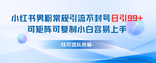 小红书男粉常规引流不封号日引99+变现简单 可矩阵可复制小白容易上手-大兵轻创资源库