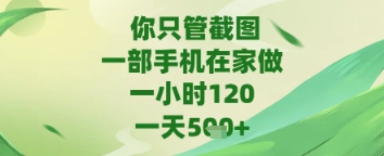 你只管截图，一部手机在家做，苹果安卓都可以，一天5张+【揭秘】-大兵轻创资源库