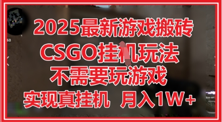 2025最新游戏搬砖，CSGO挂G，不需要玩游戏，实现真挂G，月入1W+【揭秘】-大兵轻创资源库
