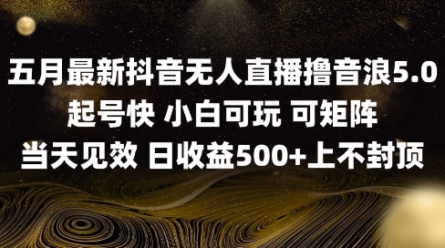 2025五月最新无人直播撸音浪单日产出5张+实操教程【揭秘】-大兵轻创资源库
