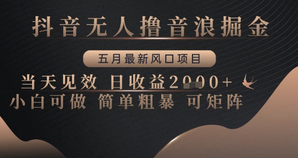 抖音无人撸音浪掘金，五月最新风口项目，当天见效，日收益多张，小白可做简单粗暴可矩阵【揭秘】-大兵轻创资源库