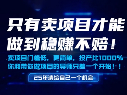只有卖项目才能做到稳挣不赔，门槛低，更简单，你也可以年入百个W【揭秘】-大兵轻创资源库