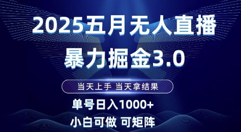 2025五月无人直播暴力掘金3.0，当天上手，当天拿结果，单号日入1k+小白可做可矩阵【揭秘】-大兵轻创资源库