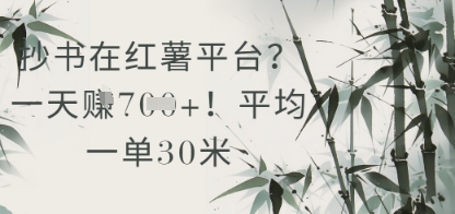 抄书在小红薯平台？平均一单30米，一天收益几张！-大兵轻创资源库