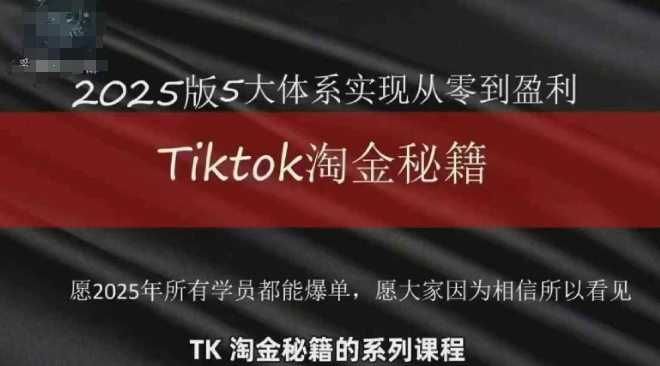 TikTok跨境2025淘金秘籍，​2025TikTok从0到盈利变现-大兵轻创资源库