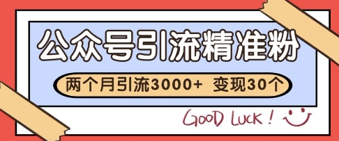 公众号精准粉引流玩法，2个月3000+精准粉，变现30个W【揭秘】-大兵轻创资源库