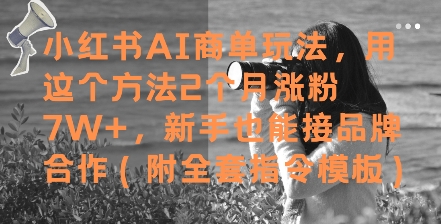 小红书AI商单玩法，用这个方法2个月涨粉7W+，新手也能接品牌合作(附全套指令模板)-大兵轻创资源库