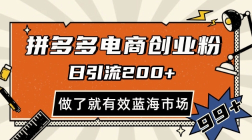 拼多多引流电商创业粉，日引200+，可矩阵放大，做了就有效【揭秘】-大兵轻创资源库