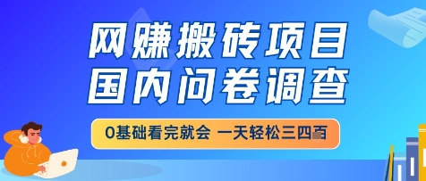 网创搬砖项目，国内问卷调查，小白轻松上手，一天三四张的也不难，干就完了【揭秘】-大兵轻创资源库