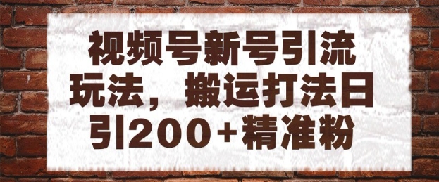 视频号新号引流玩法，搬运打法日引200+精准粉，可矩阵放大【揭秘】-大兵轻创资源库