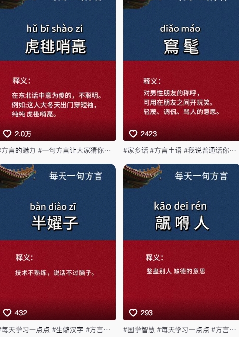 抖音最新涨粉玩法，图文方言暴力涨粉实操，126作品涨粉11W-大兵轻创资源库