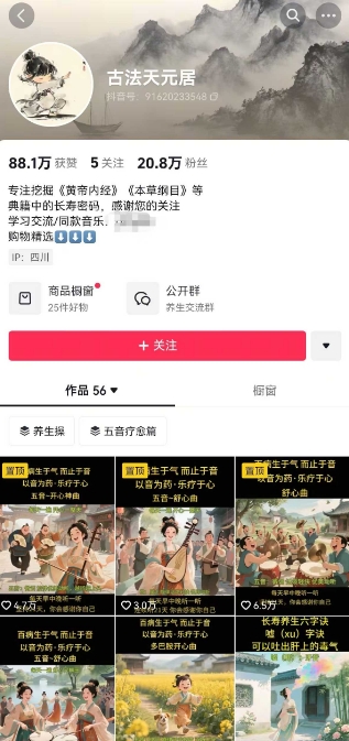 古法五音养生教程，五音疗愈的视频的制作方法，2-4小时就能学会，作者10天涨粉10W-大兵轻创资源库