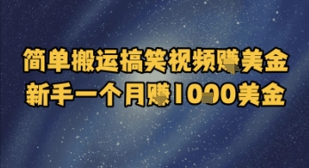 简单搬运搞笑视频挣美金，新手一个月入1k美金-大兵轻创资源库