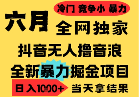 25年6月高爆抖音无人直播最新撸音浪掘金项目，小白可做，无脑日入1k+，门槛低可批量矩阵【揭秘】-大兵轻创资源库